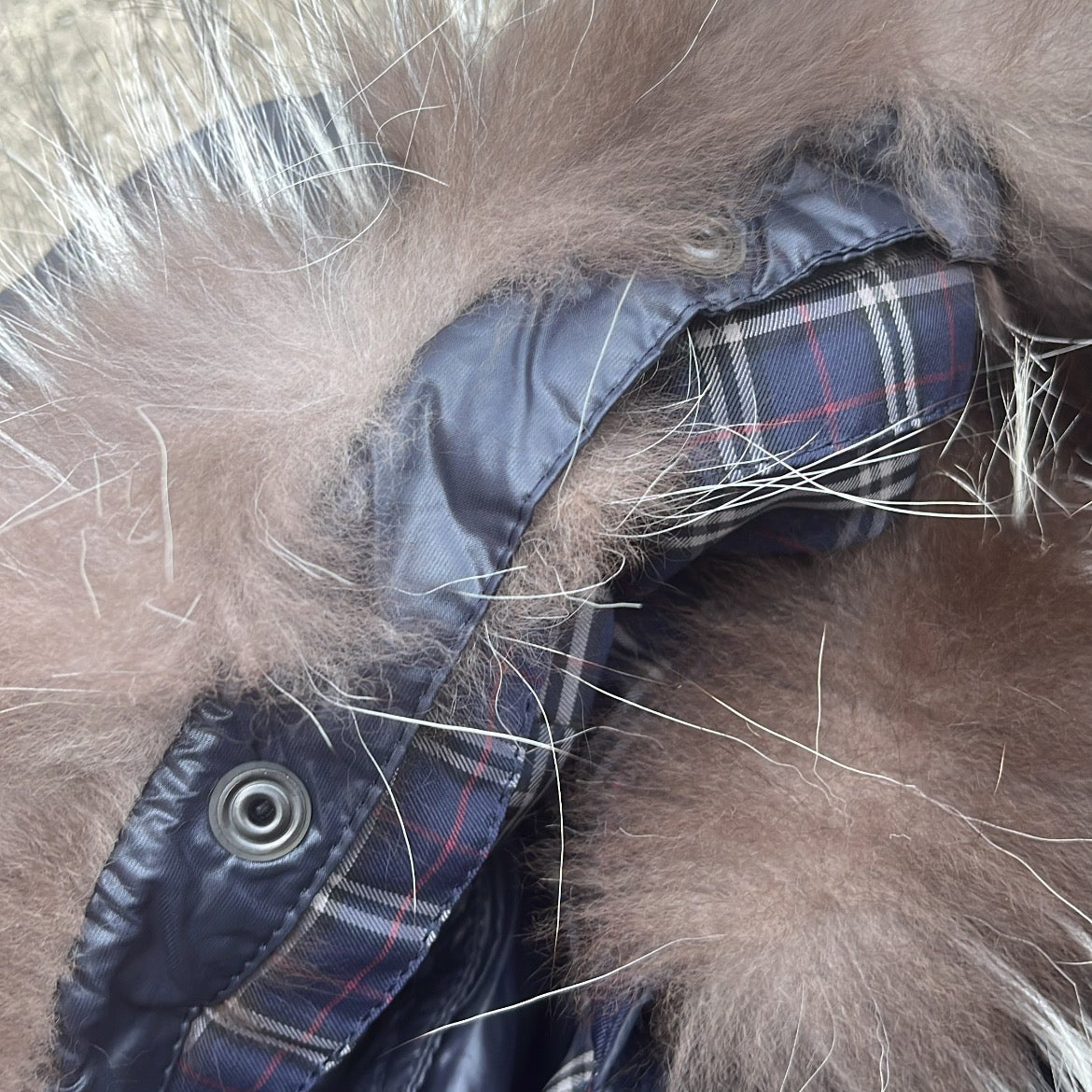 Burberry Black Label Glossy Navy Blue Jacket - M - Real Silver Fox Fur