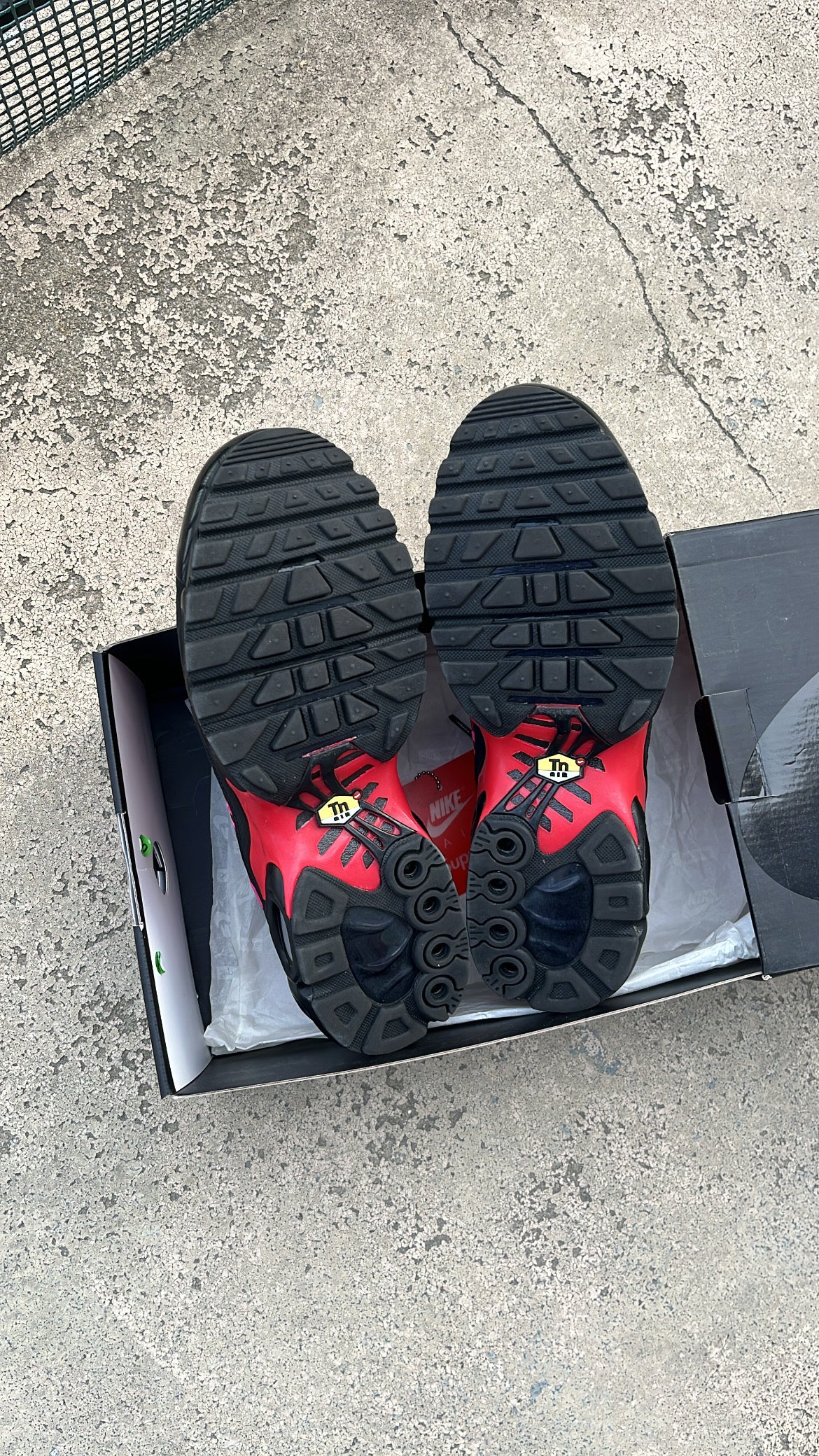 Tn Supreme Red - EU41 / US8 / UK7