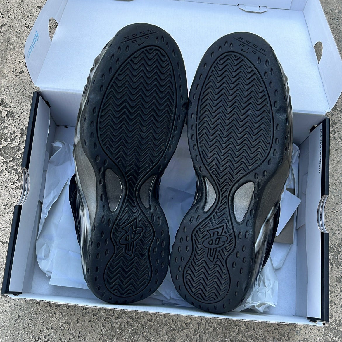 Foamposite CDG Cat Eye - EU44 / US10 / UK9